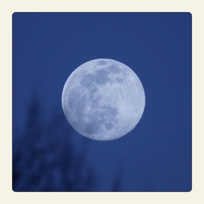 Cancer Full Moon - The First Full Moon in 2026
